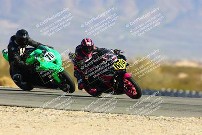 media/Feb-12-2022-SoCal Trackdays (Sat) [[3b21b94a56]]/Turn 11 Inside (155pm)/